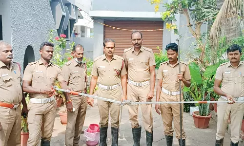 ஒட்டன்சத்திரம் குடியிருப்பு பகுதிக்குள் புகுந்த 5 அடி நீள பாம்பு உயிருடன் மீட்பு