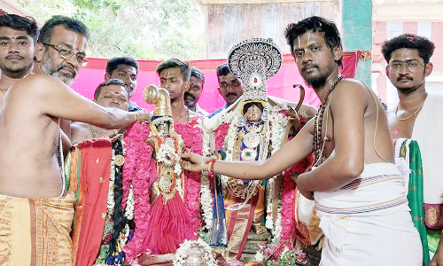 ஜெனகநாராயண பெருமாள் கோவிலில் திருக்கல்யாணம்