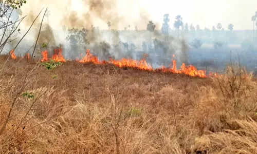 இரும்புபாலம் அருகே விவசாய நிலத்தில் திடீர் தீ
