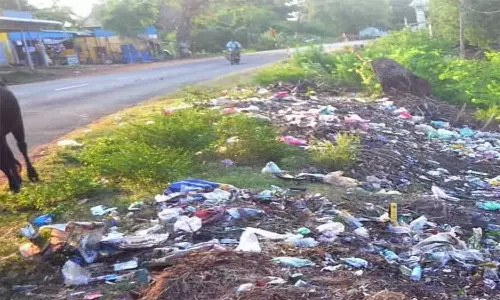 இறந்த கன்று குட்டியின் உடல் சாலையோரம் வீச்சு