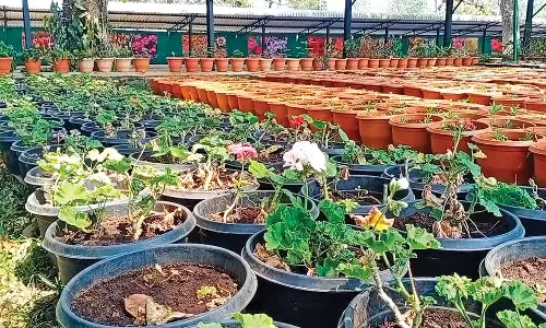 ஏற்காட்டில் சுற்றுலா பயணிகளை வரவேற்க தயாராகும் படகு இல்லம், பூங்காக்கள்