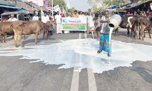 கறவை மாடுகளுடன் சாலையில் பாலை கொட்டி போராட்டம்- கொள்முதல் விலையை உயர்த்தி தர கோரிக்கை