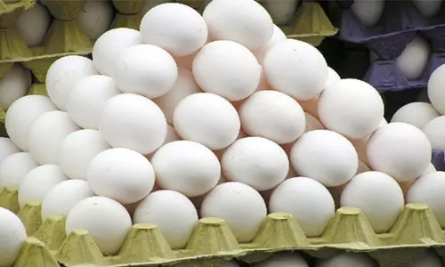 நிர்ணயிக்கப்பட்ட மைனஸ் விலைக்கு மேல் முட்டை விலையை குறைத்து விற்க வேண்டாம்