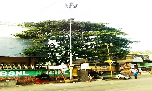 செங்கோட்டையில் பழுதான உயர்கோபுர மின்விளக்கு சீரமைக்கப்படுமா?