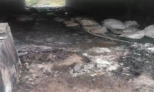 பல்லடம் அருகே நீரோடையில் கழிவு நீரை கலக்கும் ஓட்டல் மீது பொதுமக்கள் புகார்