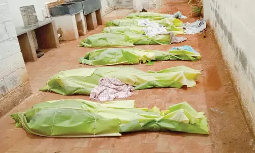 கோடை காலத்தில் பல்வேறு நோய்களை குணமாக்கும் வாழை இலை குளியலுக்கு மாறிய மக்கள்