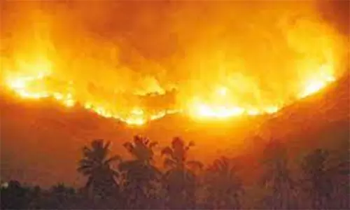 மலையில் பற்றி எரிந்த தீ