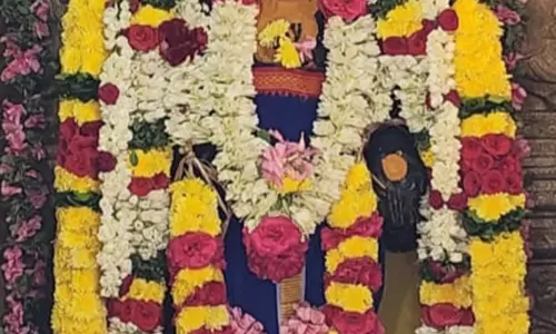 சங்கமேஸ்வரர் கோவிலில் சனிப்பெயர்ச்சி விழா