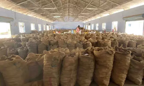 வெள்ளகோவில் வேளாண் ஒழுங்குமுறை கூடத்தில் ரூ.24லட்சத்துக்கு தேங்காய் பருப்பு விற்பனை