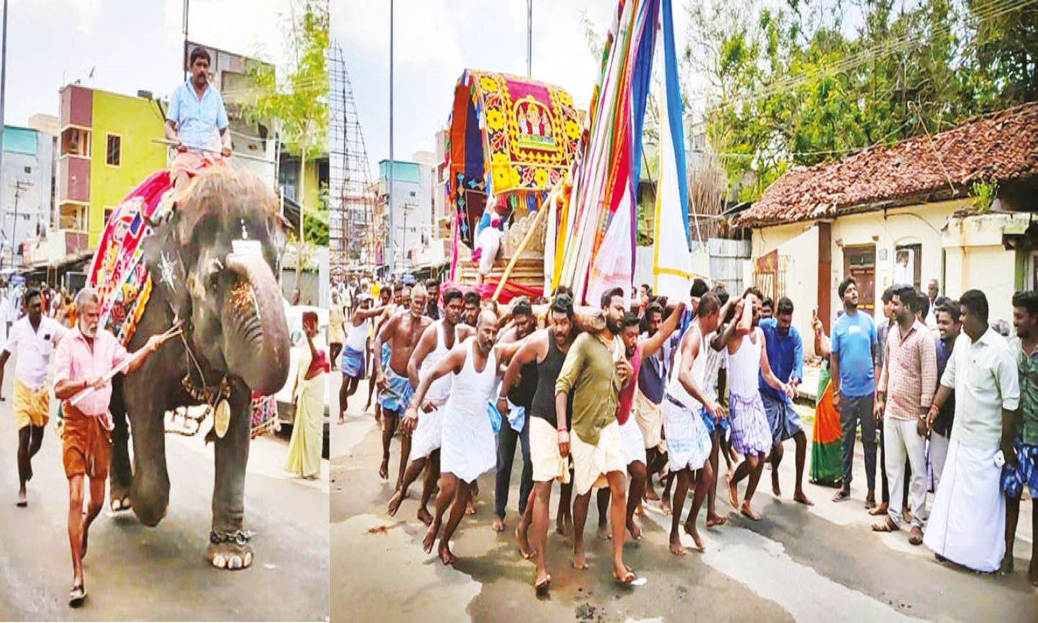 வைத்தியநாத சுவாமி கோவிலில் யானை ஓட்டம்: திரளான பக்தர்கள் பங்கேற்பு