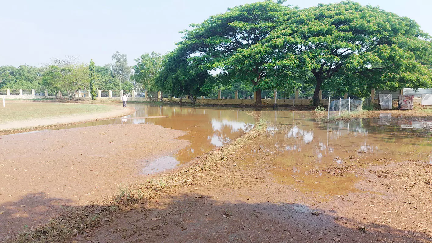 தருமபுரியில் பெய்த கனமழையால்சேரும் சகதியுமாக மாறிய மாவட்ட விளையாட்டு மைதானம் தருமபுரியில் பெய்த கனமழையால்சேரும் சகதியுமாக மாறிய மாவட்ட விளையாட்டு மைதானம்
