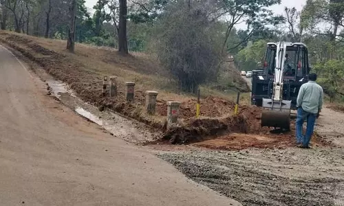 பிரதமர் மோடி வருகை தர உள்ளதாக தகவல்- முதுமலை புலிகள் காப்பகத்தில் பராமரிப்பு பணிகள் தீவிரம்