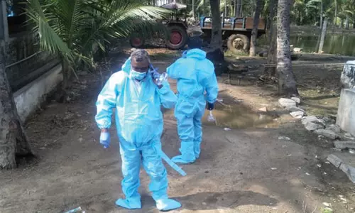 பன்றி பண்ணை இருக்கும் பகுதிக்கு பொதுமக்கள் செல்ல 1 ஆண்டு தடை