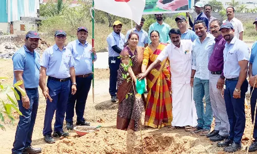 சூளகிரியில் மரக்கன்றுகள் நடும் விழா