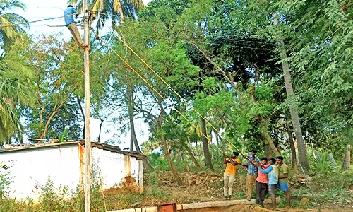 கல்லிடைக்குறிச்சி வனப்பகுதியில் தாழ்வான மின் கம்பிகள் உயர்த்தப்பட்டது