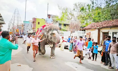 வைத்தியநாதசாமி கோவிலில் நரி ஓட்டம் எனும் ஐதீக விழா