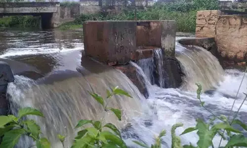 கழிவுநீர் கால்வாயாக மாறும் பி.ஏ.பி., வாய்க்கால் - தடுக்க நடவடிக்கை எடுக்கப்படுமா?