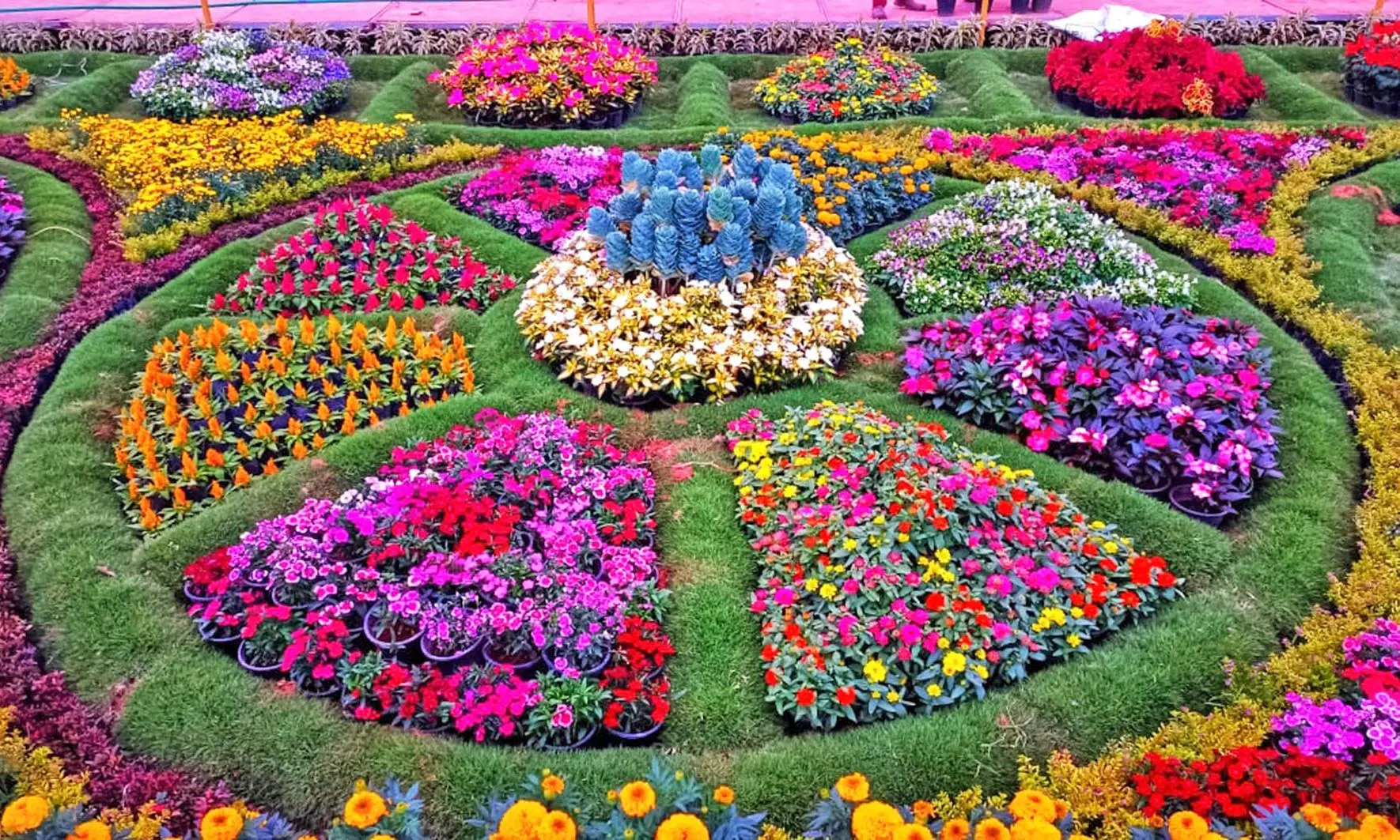 பல வண்ண பூக்களுடன் தேக்கடியில் மலர் கண்காட்சி இன்று தொடக்கம் பல வண்ண பூக்களுடன் தேக்கடியில் மலர் கண்காட்சி இன்று தொடக்கம்