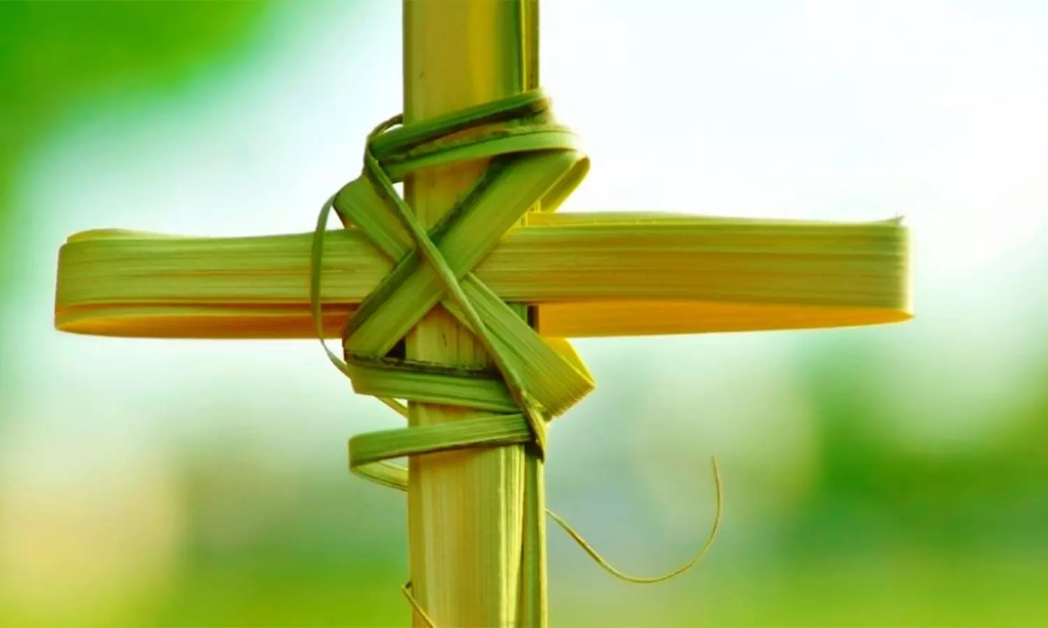 கிறிஸ்தவ ஆலயங்களில் நாளை குருத்தோலை பவனி கிறிஸ்தவ ஆலயங்களில் நாளை குருத்தோலை பவனி