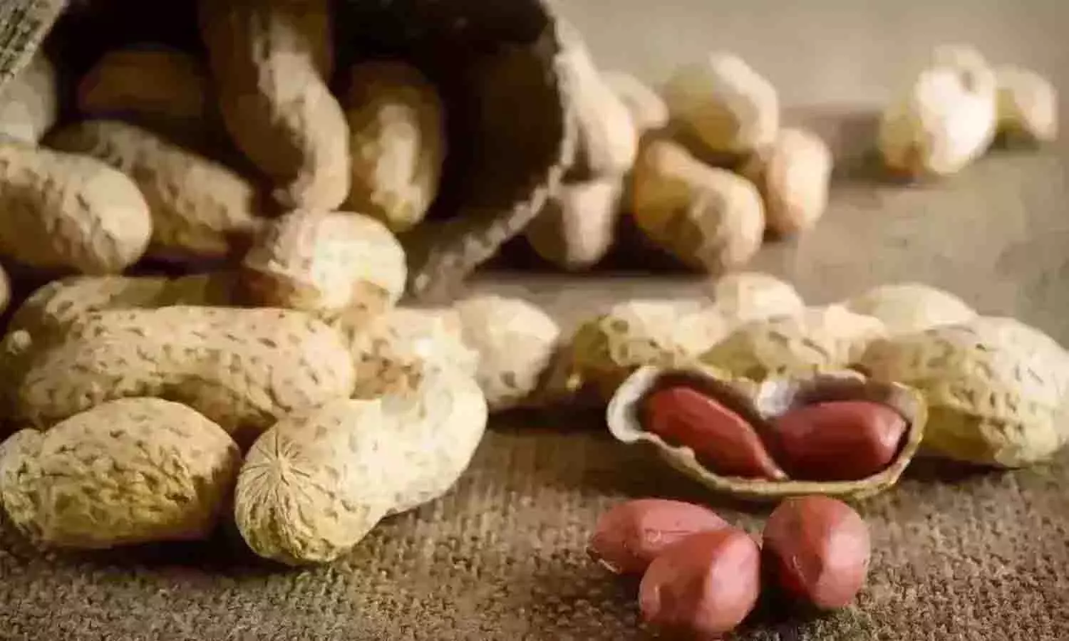 வெள்ளகோவில் ஒழுங்குமுறை விற்பனை கூடத்தில் நிலக்கடலை ஏலம்