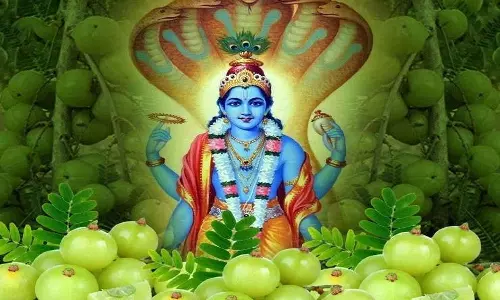 இன்று ஆமலகீ ஏகாதசி: விஷ்ணுவை விரதம் பிரார்த்தனை செய்தால் கிடைக்கும் பலன்கள்