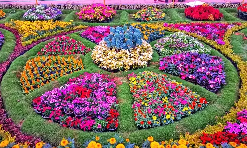 பல வண்ண பூக்களுடன் தேக்கடியில் மலர் கண்காட்சி இன்று தொடக்கம்