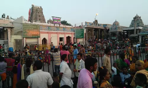 பழனி முருகன் கோவிலில் தங்கரத புறப்பாடு 5 நாட்கள் நிறுத்தம்