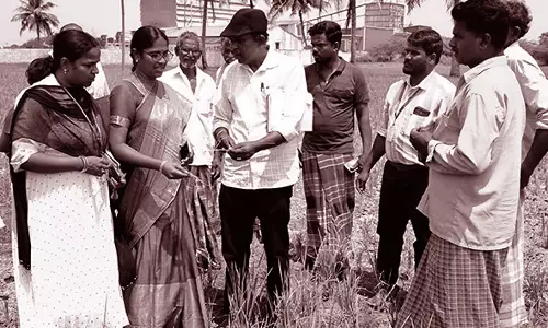 கும்மிடிப்பூண்டி வட்டாரத்தில் பாதிக்கப்பட்ட 110 ஏக்கர் நெற்பயிரை அதிகாரிகள் பார்வையிட்டனர்