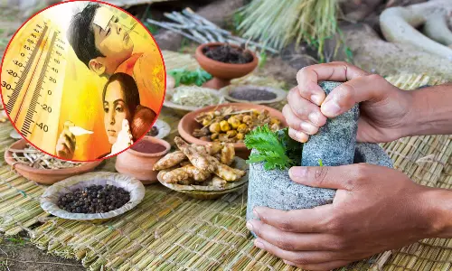 அம்மை, வியர்க்குரு... வெயில் கால நோய்களுக்கு சித்த மருத்துவம் தரும் தீர்வு