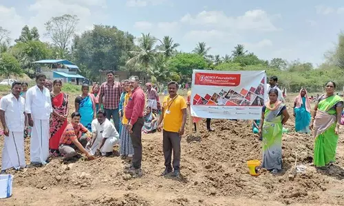 கொத்தங்குடியில், முருங்கை தோட்டம் அமைக்கும் பணி