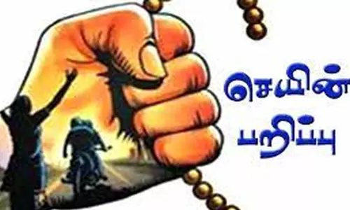 மூதாட்டியிடம் செயினை பறித்த வாலிபருக்கு 5 ஆண்டு சிறை தண்டனை