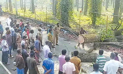 ஏற்காட்டில் சூறைக்காற்றுடன் கன மழை