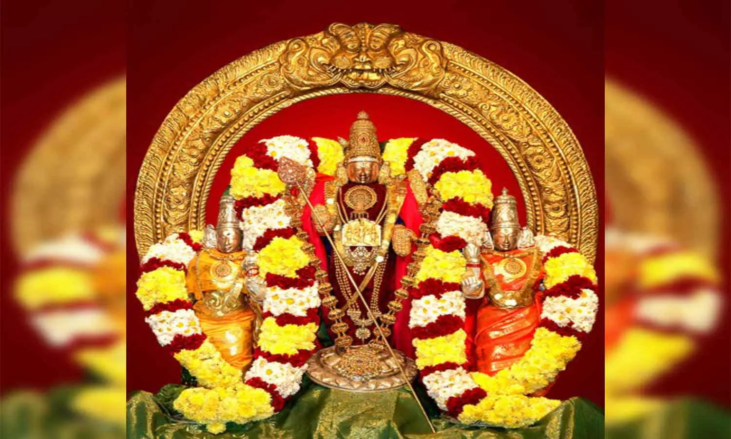 போளூர் குமரகிரி ஸ்ரீ பாலமுருகன் கோவிலில் பங்குனி உத்திர பெருவிழா