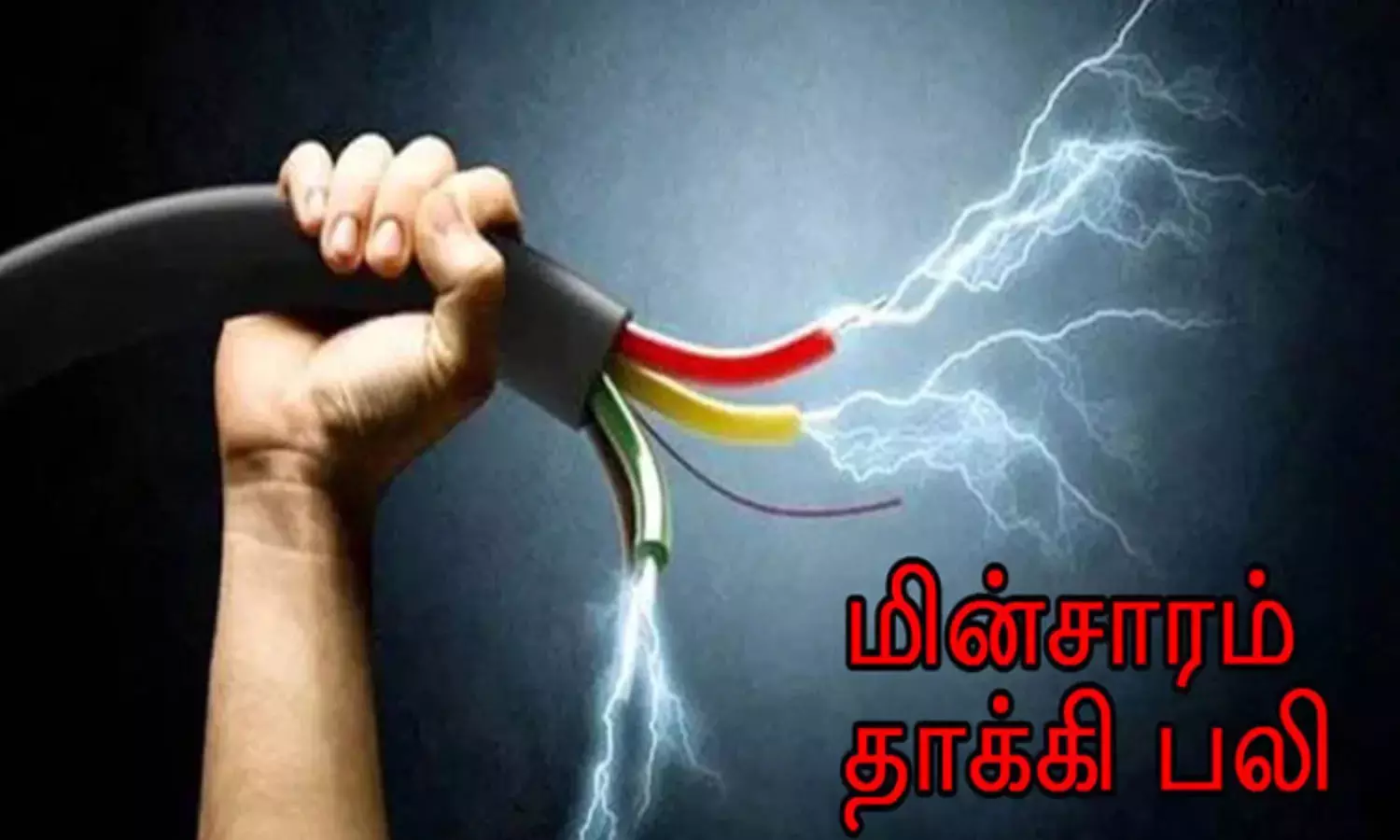 மின்சாரம் தாக்கி பெயிண்டர் பலி மின்சாரம் தாக்கி பெயிண்டர் பலி