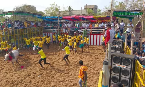 கறம்பக்குடி, மழையூரில் ஜல்லிக்கட்டு போட்டி