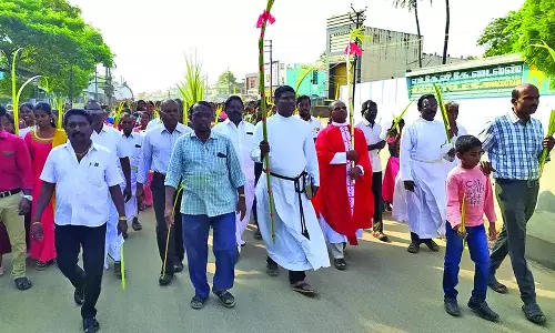 நெல்லை, தென்காசி, தூத்துக்குடி மாவட்டங்களில் குருத்தோலை ஞாயிறு பவனி: திரளான கிறிஸ்தவர்கள் பங்கேற்பு