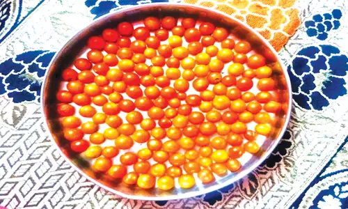 அரிய வகை இலந்தைப்பழ தக்காளிவாழப்பாடி பகுதியில் அறுவடை