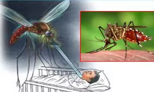 டெங்கு காய்ச்சலுக்கு பள்ளி மாணவன் பலி