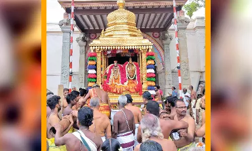 நாங்குநேரியில் பங்குனித்திருவிழா: வானமாமலை சுவாமிகள் தங்கச்சப்பரத்தில் பவனி