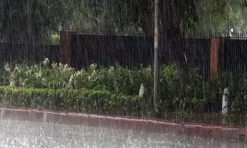 நெல்லை மாவட்டத்தில் பரவலாக மழை