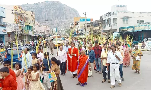 குருத்தோலை ஞாயிறு தினத்தையொட்டி தருமபுரி, கிருஷ்ணகிரி்யில் குருத்தோலை பவனி