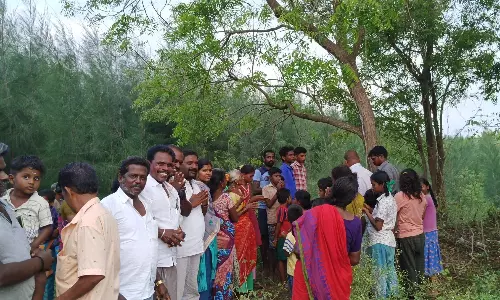 திண்டிவனம் அருகே வேப்ப மரத்தில் இருந்து பால் வடிந்ததால் பரபரப்பு- பொதுமக்கள் வழிபாடு