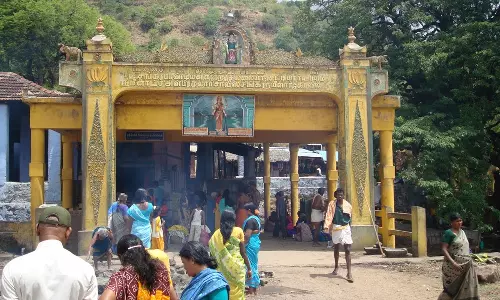 பங்குனி உத்திர திருவிழா: நாளை நெல்லை, தென்காசி, தூத்துக்குடி கோவில்களில் ஏற்பாடுகள் தீவிரம்