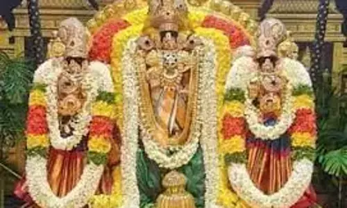 செட்டிகுளம் தண்டாயுதபாணி சுவாமி கோவிலில் திருக்கல்யாண உற்சவம்