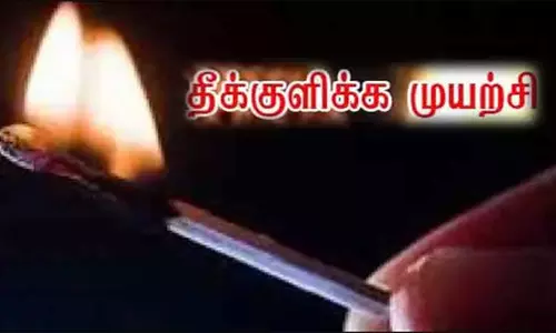 கலெக்டர் அலுவலகத்தில் பரபரப்புதங்கையுடன் தீக்குளிக்க வந்த இளம்பெண்