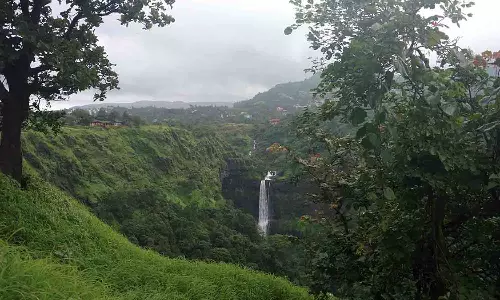 ஒரு நாடு நன்றாக இருக்க 33 சதவீதம் காடுகள் இருக்க வேண்டும் - வேளாண் பல்கலைக்கழக  துணைவேந்தர் பேச்சு