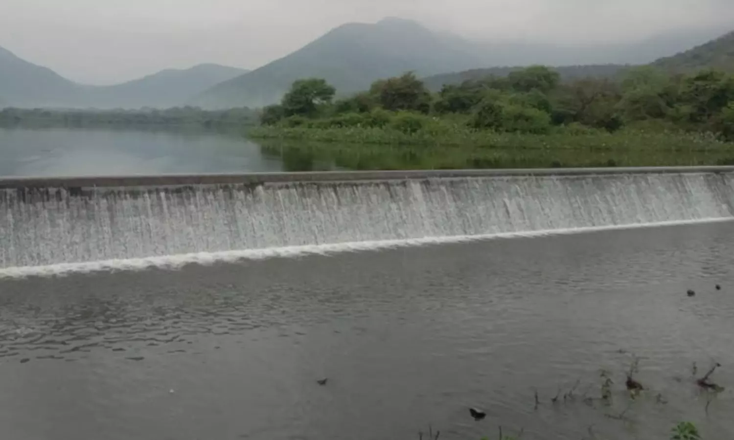 ஈரோட்டில் இடி-மின்னலுடன் பலத்த மழை: குண்டேரிப்பள்ளம் அணை பகுதியில் 10 செ.மீ. மழை ஈரோட்டில் இடி-மின்னலுடன் பலத்த மழை: குண்டேரிப்பள்ளம் அணை பகுதியில் 10 செ.மீ. மழை