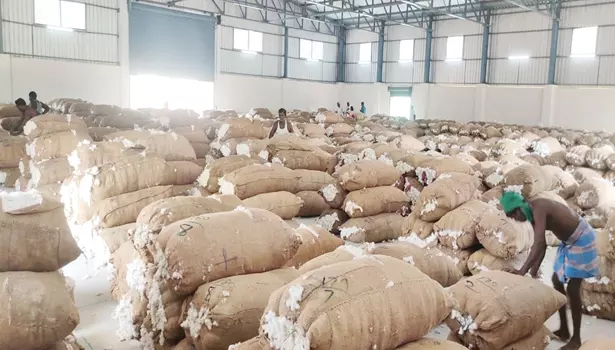 ராசிபுரத்தில் ரூ.45 லட்சத்திற்கு பருத்தி ஏலம் ராசிபுரத்தில் ரூ.45 லட்சத்திற்கு பருத்தி ஏலம்