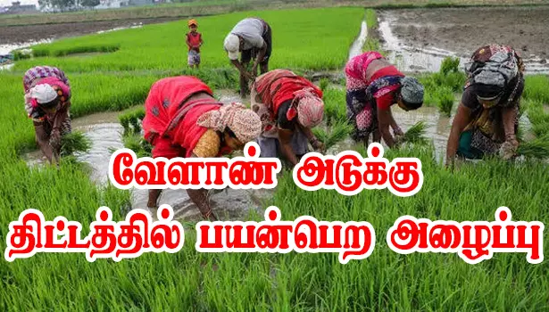 பரமத்தி வட்டார விவசாயிகள் வேளாண் அடுக்கு திட்டத்தில் பயன்பெற அழைப்பு