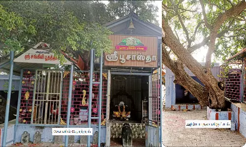 பங்குனி உத்திரத்தில் மட்டும் பூ பூக்கும் தல விருட்சம் உள்ள தெற்கு கருங்குளம் பூ சாஸ்தா கோவில்